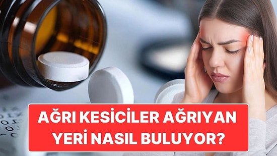 Ağrı Kesiciler Nasıl Oluyor da Ağrıyan Yerin Nerede Olduğunu Şıp Diye Bulabiliyor?