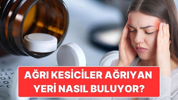 Ağrı Kesiciler Nasıl Oluyor da Ağrıyan Yerin Nerede Olduğunu Şıp Diye Bulabiliyor?