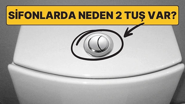Kapak Görseli