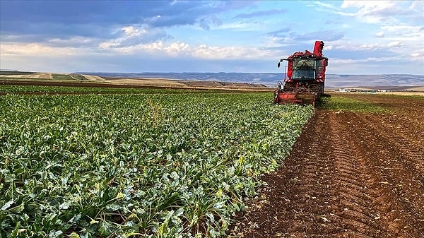 Çiftçilik, inşaat ustalığı, operatörlük en çok aranan meslekler oldu. Ancak kasiyerlik, yönetici asistanlığı ve temizlikçilik de gözden düşen meslekler arasına girdi.