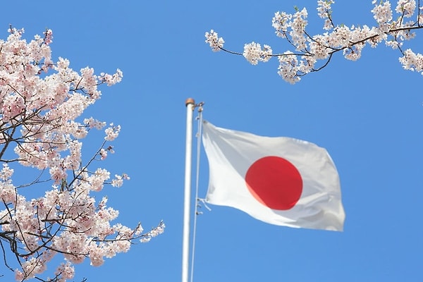 1. Damaging Foreign Flags is Illegal