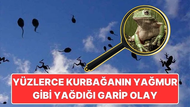 1873 Yılında Kansas'ta Gökten Kurbağaların Yağmur Gibi Yağdığı Garip Olay