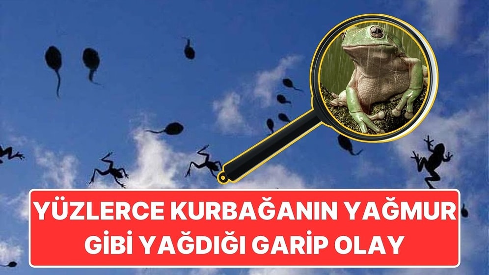 1873 Yılında Kansas'ta Gökten Kurbağaların Yağmur Gibi Yağdığı Garip Olay