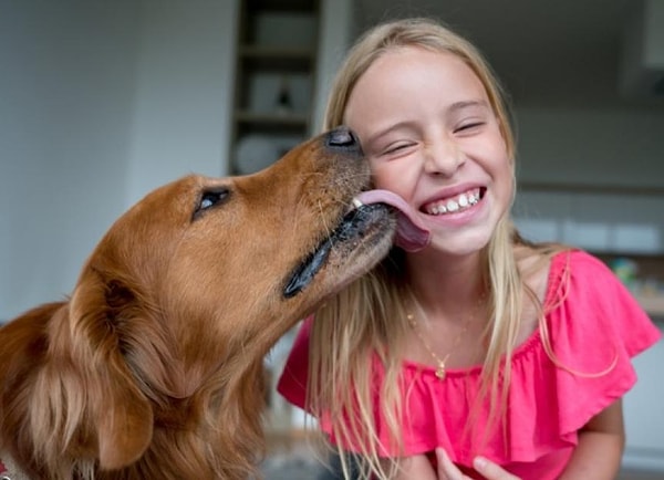 Köpeklerin sevgisi paha biçilemez ancak bu olay onların masum görünen davranışlarının risklerini göz ardı etmememiz gerektiğini gösteriyor.