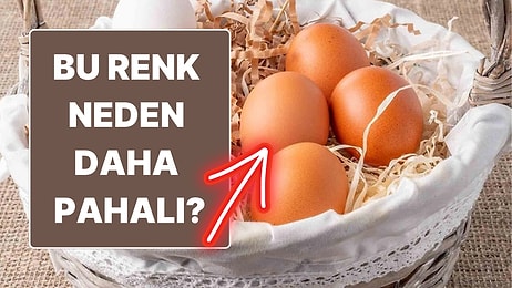 Kahverengi Yumurtalar Neden Daha Pahalı? Sebebi Hiç Düşündüğünüz Gibi Değil!