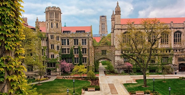 Dokuzuncu sırada, Amerika’nın sosyal bilimlerdeki güçlü temsilcisi Chicago Üniversitesi yer alıyor.