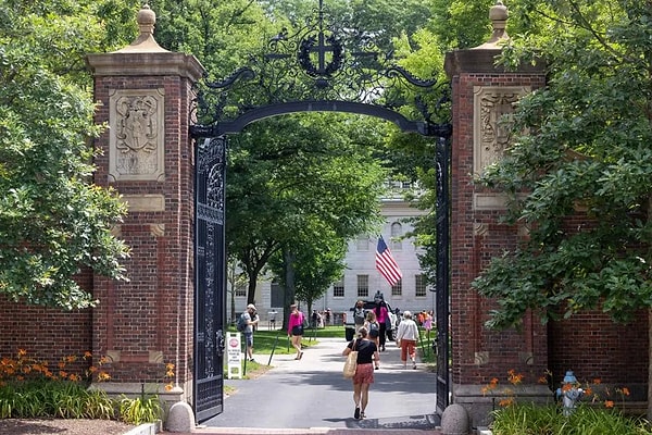 Ekonomim’den Özder Şeyda Uyanık’ın haberine göre Harvard, MIT gibi prestijli üniversitelerden mezun gençlerin işsizlik oranı arttı.