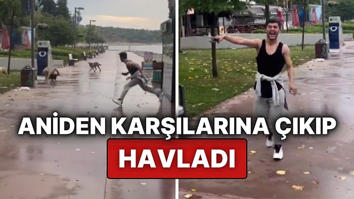 Köpeklerden İntikam Alan Vatandaşın Eğlenceli Şakası Sosyal Medyada Tepki Çekti