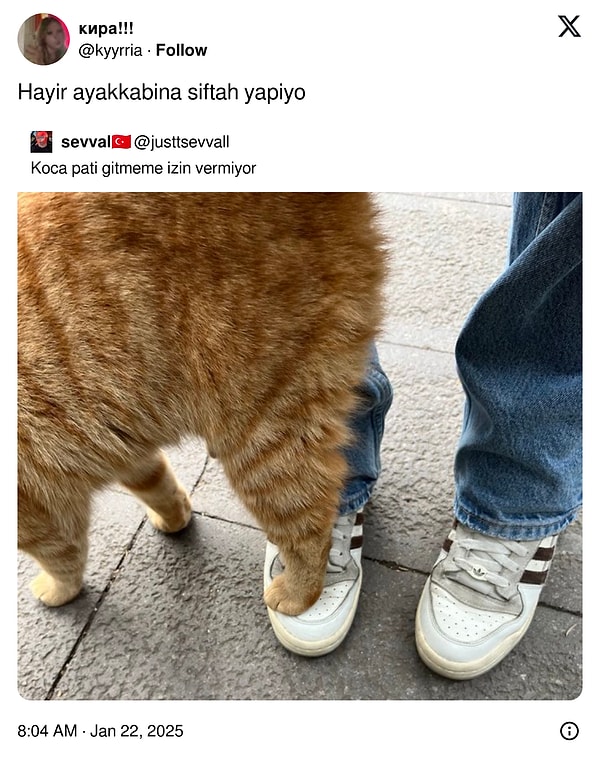 Haftaya görüşmek üzere 👋