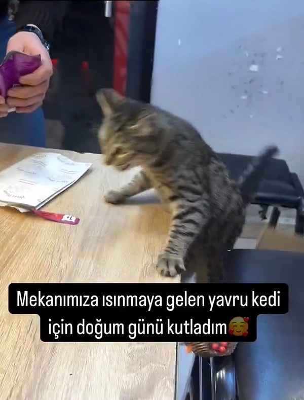 Hediyeyi de es geçmemişti tabii. Yaş mamanın kokusunu alan Minnak’ın heyecandan masadan düştüğü anlar tebessüm ettirdi.