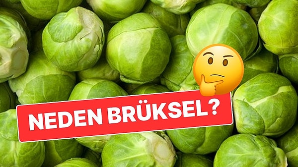 3. Tahmin Etmek Pek de Zor Değil: Brüksel Lahanasının İsmi Nereden Geliyor?