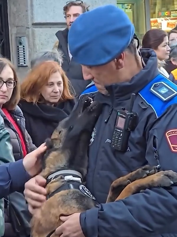 Çevresindeki herkesten ilgi gören tatlı köpeğe karşı koymak imkansızdı.