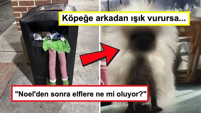 Gördükten Sonra Anlamak İçin Bir Daha Bakmak İsteyeceğiniz Birbirinden İlginç Görseller