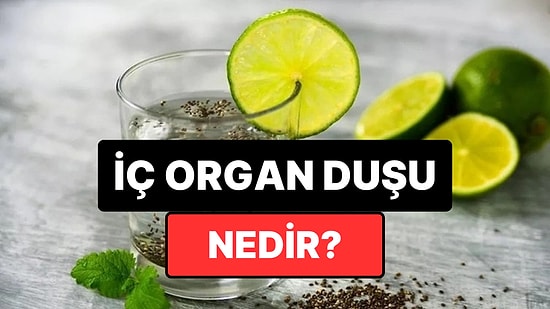 İç Organ Duşu (Internal Shower) Nedir? İç Organ Duşu Nasıl Hazırlanır, Faydaları Nelerdir?