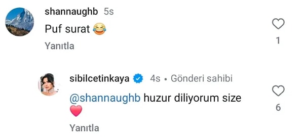 Akalın'ın ağır yorumunun ardından bir sosyal medya kullanıcısının yaptığı "Puf surat" yorumuna Sibil Çetinkaya "Huzur diliyorum size" şeklinde cevap vermekle yetindi.