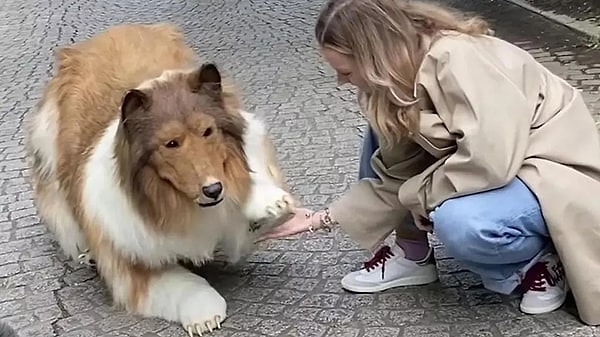 Son zamanlarda kişilik bunalımı yaşayan bazı insanların ilginç vakalarına sıkça rastlıyoruz. Kimi kendini bir hayvan sanıyor, kimi de hayvan kostümleriyle dolaşıyor.