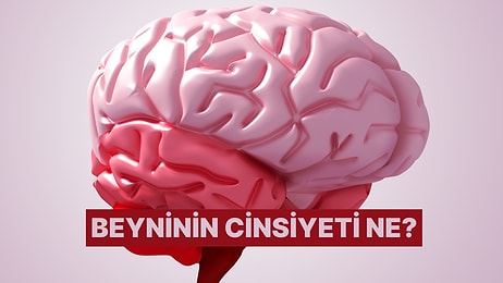 Düşünme Tarzına Göre Beyninin Cinsiyetini Açıklıyoruz!