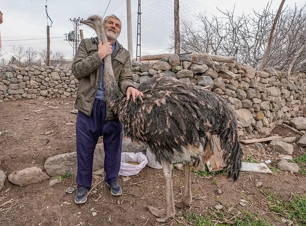 Kaçan dostumuzu yakın bir köyde korumaya aldıklarını ardından ise kendisinin giderek onu yeniden evine getirdiğini dile getirdi.