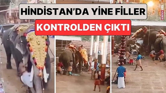 Hindistan'da Filler Yine Kontrolden Çıktı: Fillerin Tapınağa Girmesi Sonucu 3 Kişi Hayatını Kaybetti