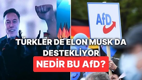 Türklerin ve Elon Musk'ın Almanya Seçimlerinde Desteklediği Parti: Aşırı Sağcı AfD Partisi