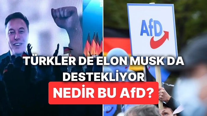 Türklerin ve Elon Musk'ın Almanya Seçimlerinde Desteklediği Parti: Aşırı Sağcı AfD Partisi