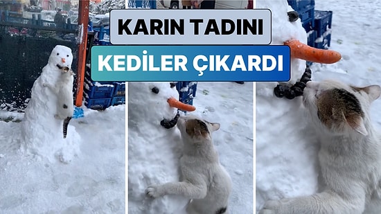 Karın Tadını En Çok Kediler Çıkarttı: Bir Kedi Kardan Adama Takılan Zeytinleri Yedi