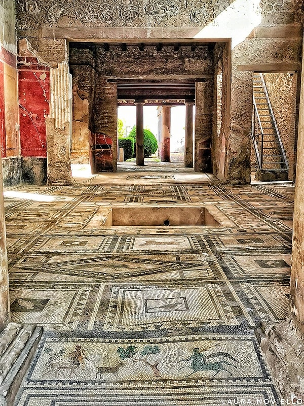 8. Paquius Proculus Evi, Pompeii