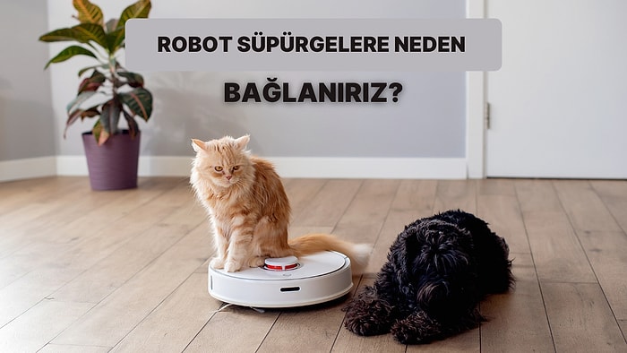 Türkler Robot Süpürgelerini Neden Aileden Biriymiş Gibi Çok Seviyor?