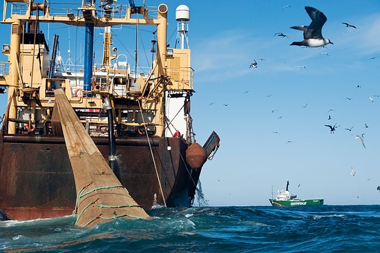 China’s Fishing Fleets in Argentina’s Waters: Are They Emptying the Oceans?