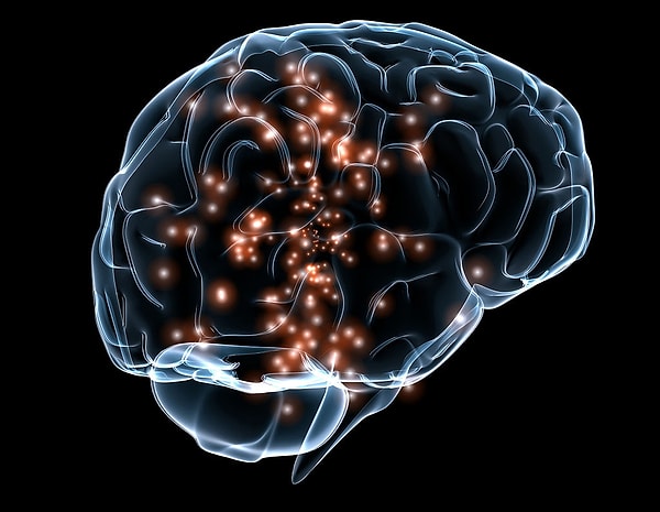 Now, let's talk about the "physical" growth of the brain, i.e., neuroplasticity.