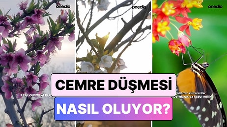 Hava Isınmaya Başladı: Peki "Cemre Düşmesi" Nasıl Oluyor?