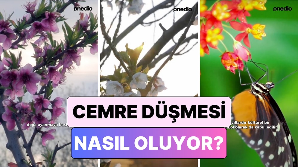 Hava Isınmaya Başladı: Peki "Cemre Düşmesi" Nasıl Oluyor?
