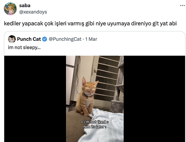 Hep şov!