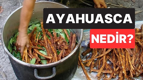 Ayahuasca Nedir, Etkileri Nelerdir? Ayahuasca Çayı Neden Birçok Ülkede Yasak?