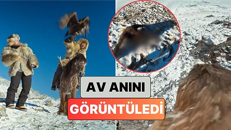 Alper Rende, Altay Dağları'nda Avcılarla Birlikte Bir Kartala Kamera Takarak Av Anını Görüntüledi