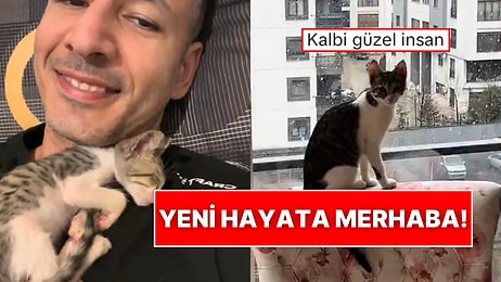 Dubai Tatilinde Bulduğu Sokak Kedisini Sahiplenerek Türkiye’ye Getiren Koca Yürekli Adam!