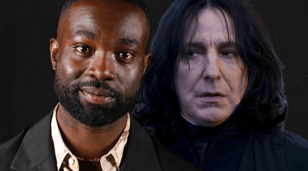 Öte yandan dizideki Albus Dumbledore ve Severus Snape rollerini canlandıracak oyuncular belli oldu.