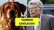 Netflix, Stephen King’in Cujo Romanını Yeniden Uyarlıyor