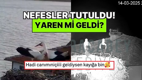 Yaren Leyleğin Yuvasında Hareketlilik! Nazlı'nın Yanına Gelen Leylek Yaren mi?