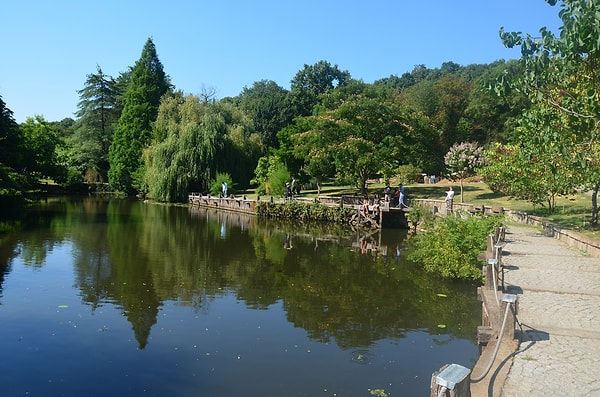 8. Atatürk Arboretum