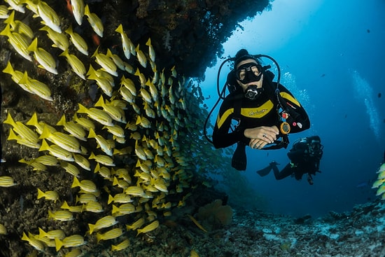 12 Best Scuba Diving Spots in Türkiye for an Unforgettable Underwater Adventure