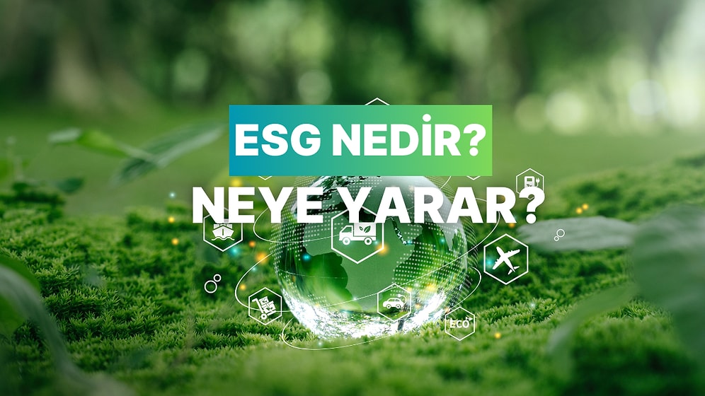 ESG Yatırım Nedir? Gerçekten Sürdürülebilir Bir Yatırım Modeli mi?