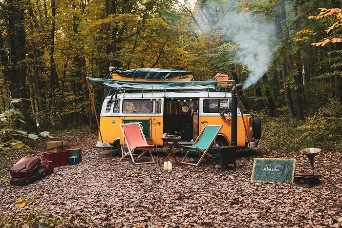 Explore the Best Forests in Istanbul to Visit in Spring