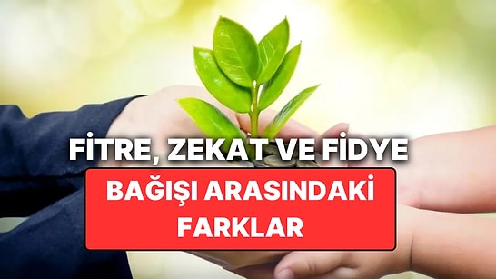 Fitre, Zekat ve Fidye Arasındaki Farkı Nedir? İşte Fitre, Zekat ve Sadaka Hakkında Bilmeniz Gerekenler