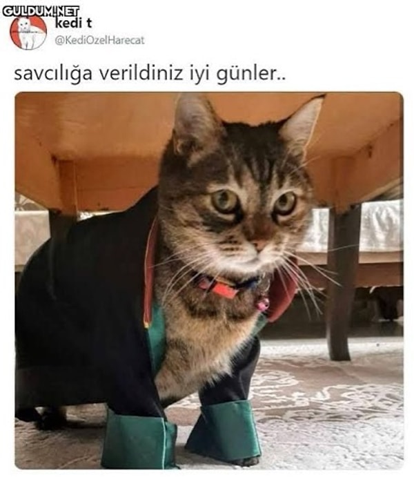 Emre Yazgeç