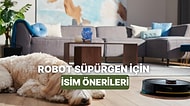 Robot Süpürgen İçin 11 Yaratıcı İsim Önerisi