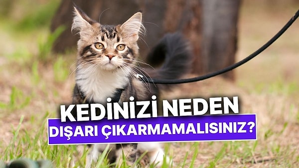 Kapak Görseli