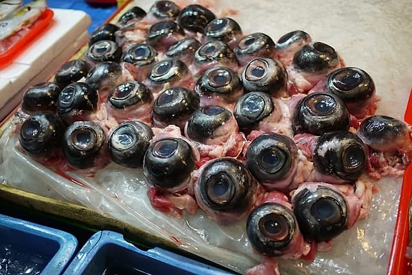 7. Tuna gözleri