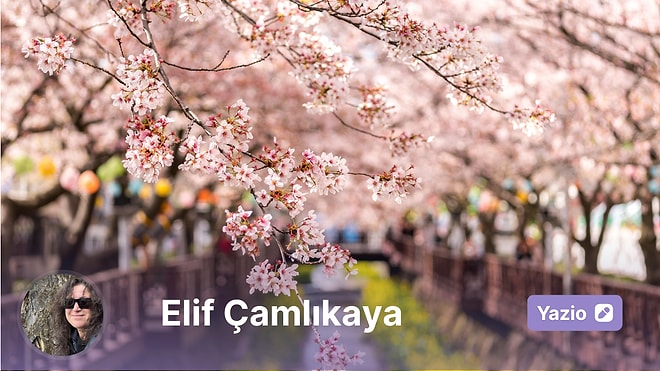 Sakura Zamanı Japonya