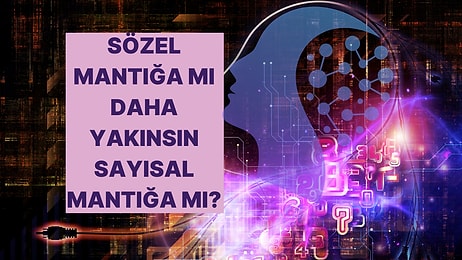 Yüzde Kaç Sayısal Yüzde Kaç Sözel Zekaya Sahipsin?